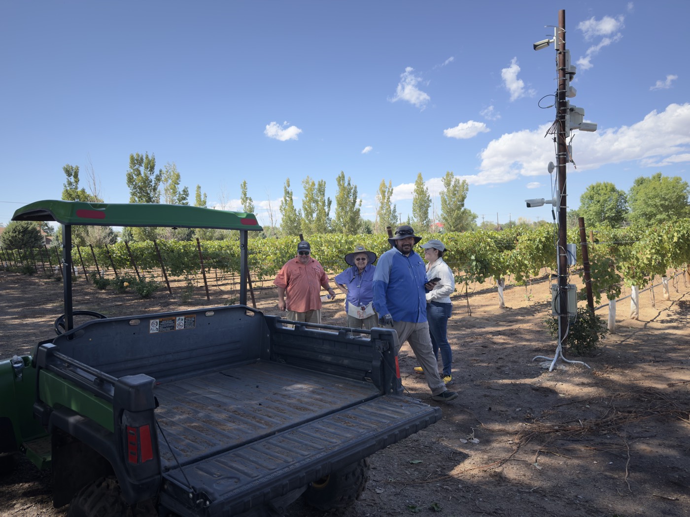 Harvest crew gathered by the Gator between vine rows
